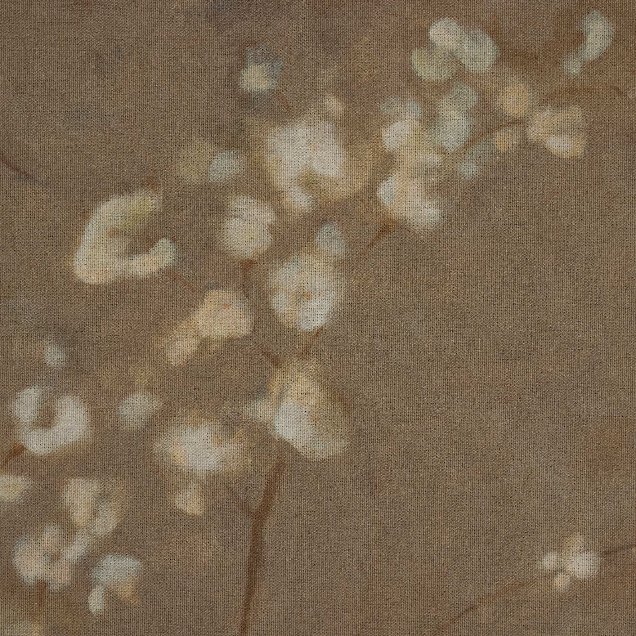 Sakura-Artwork-StyleMeGHD
