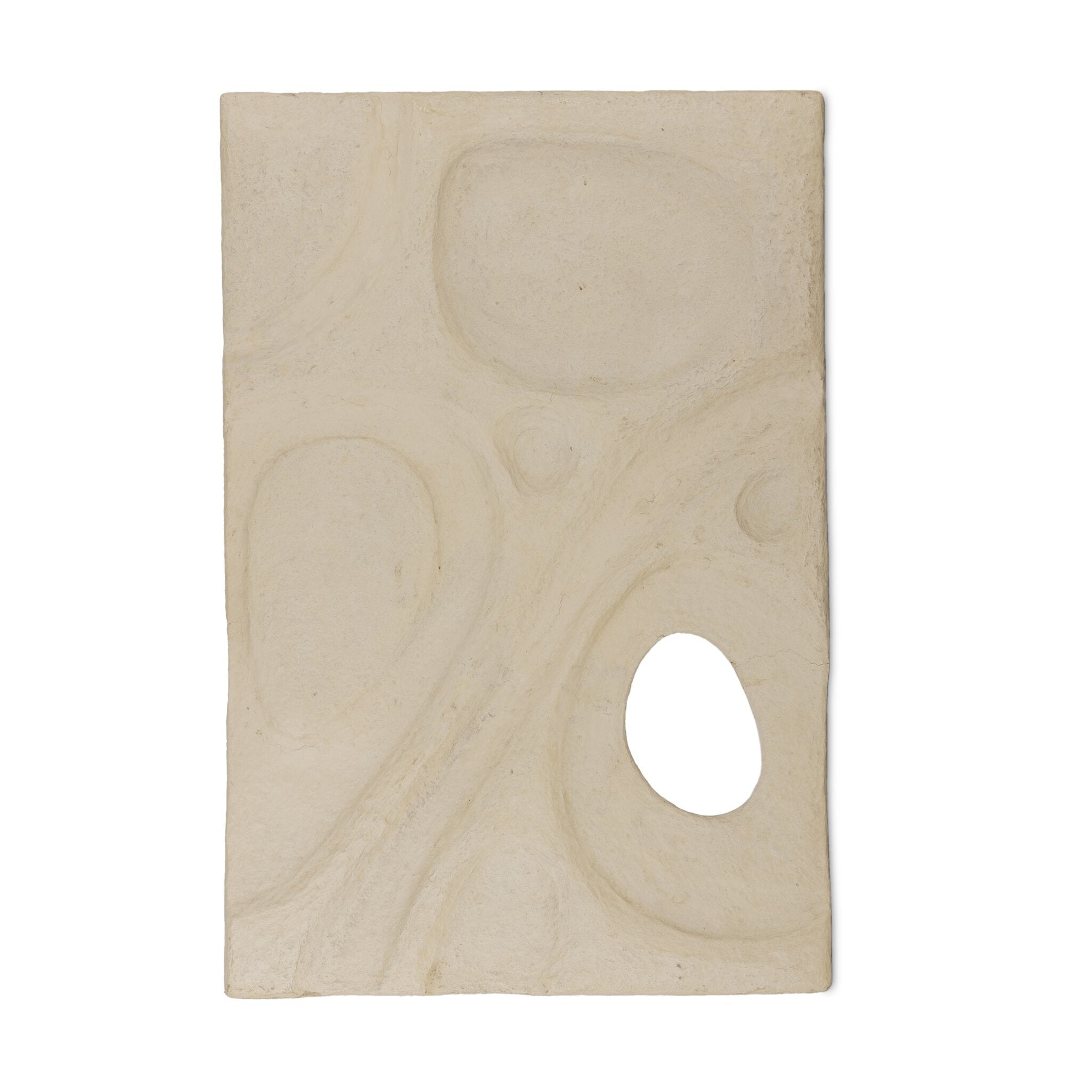Organic Relief Wall Art