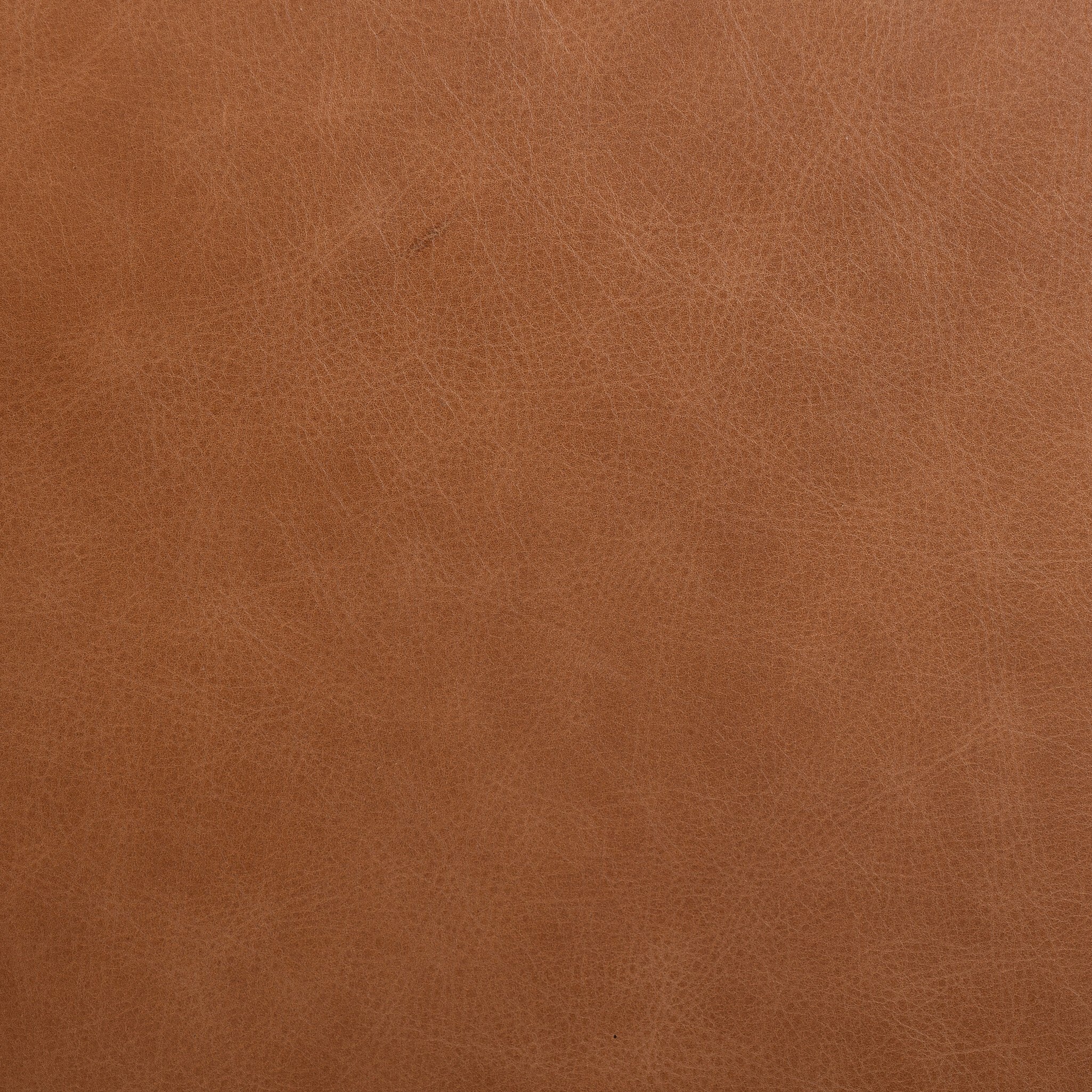 Dana Stool - StyleMeGHD - Bar + Counter Stools