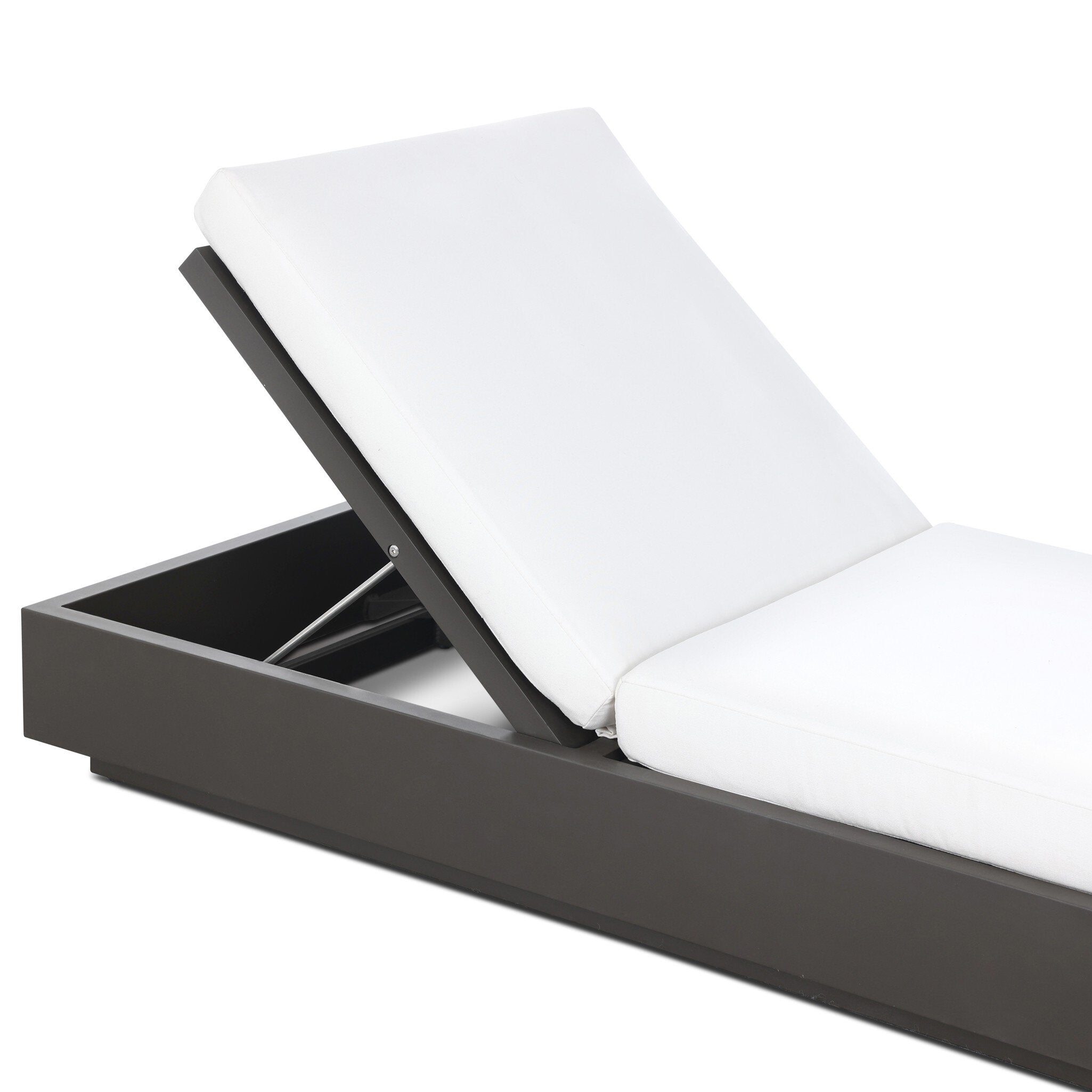 Kylie Outdoor Chaise Lounge