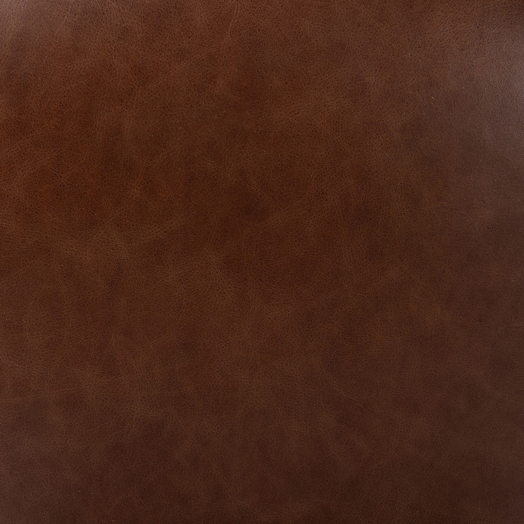 Tristan Dining Chair - StyleMeGHD - Dining Chairs