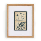 Summer Weeds II