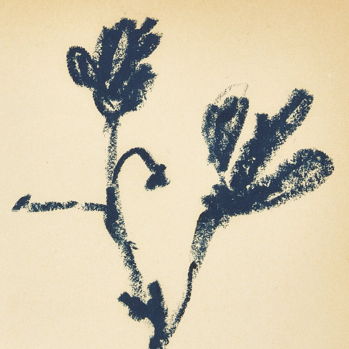 Summer Weeds