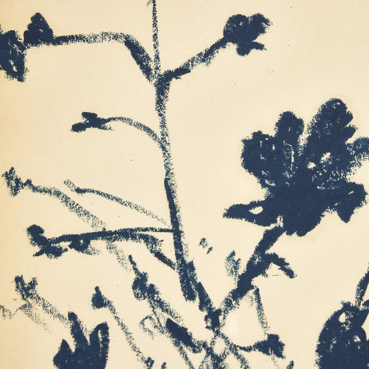Summer Weeds
