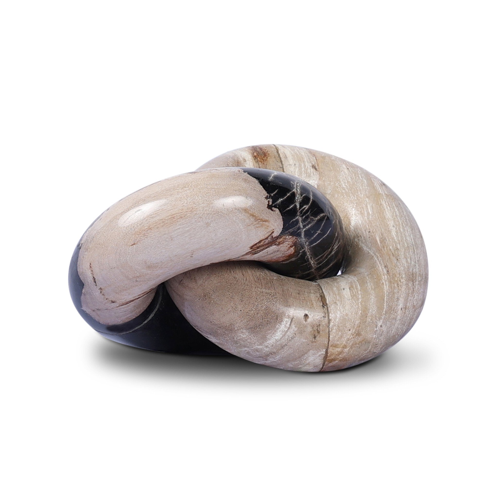 Petrified Wood Knot-Decorative Objects-StyleMeGHD