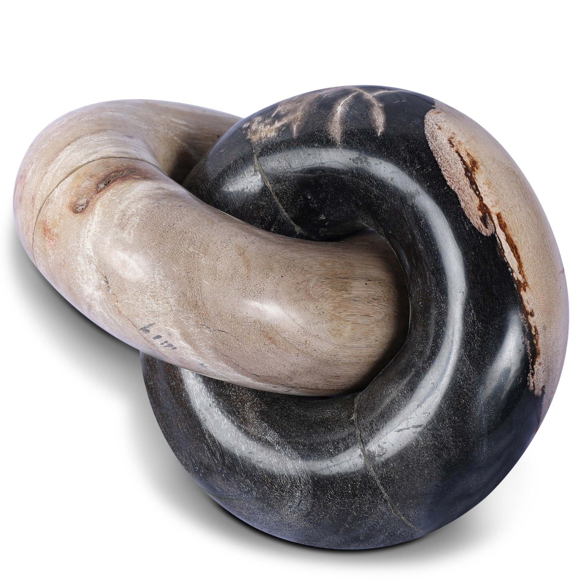 Petrified Wood Knot-Decorative Objects-StyleMeGHD