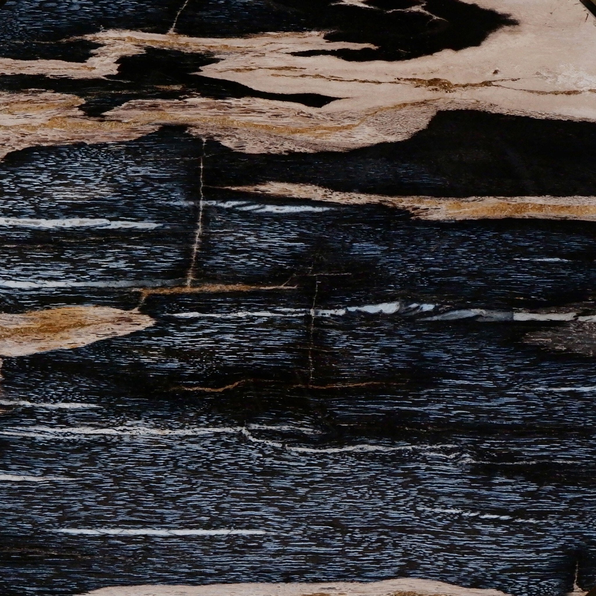 Petrified Wood Knot-Decorative Objects-StyleMeGHD