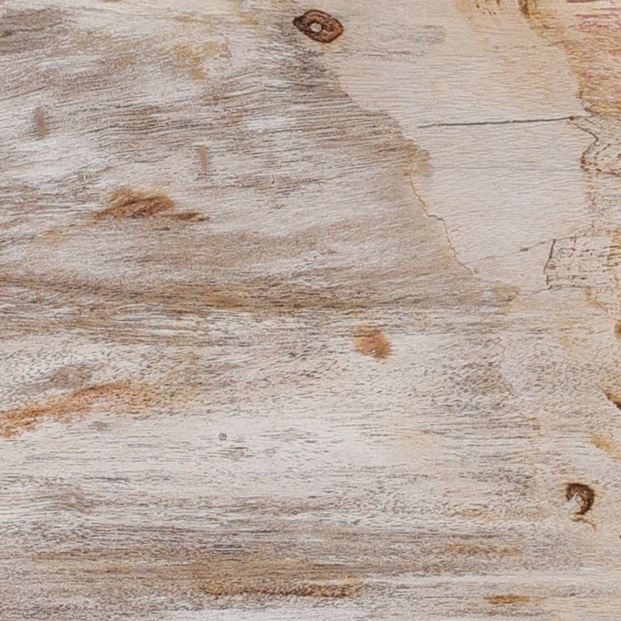 Petrified Wood Knot-Decorative Objects-StyleMeGHD