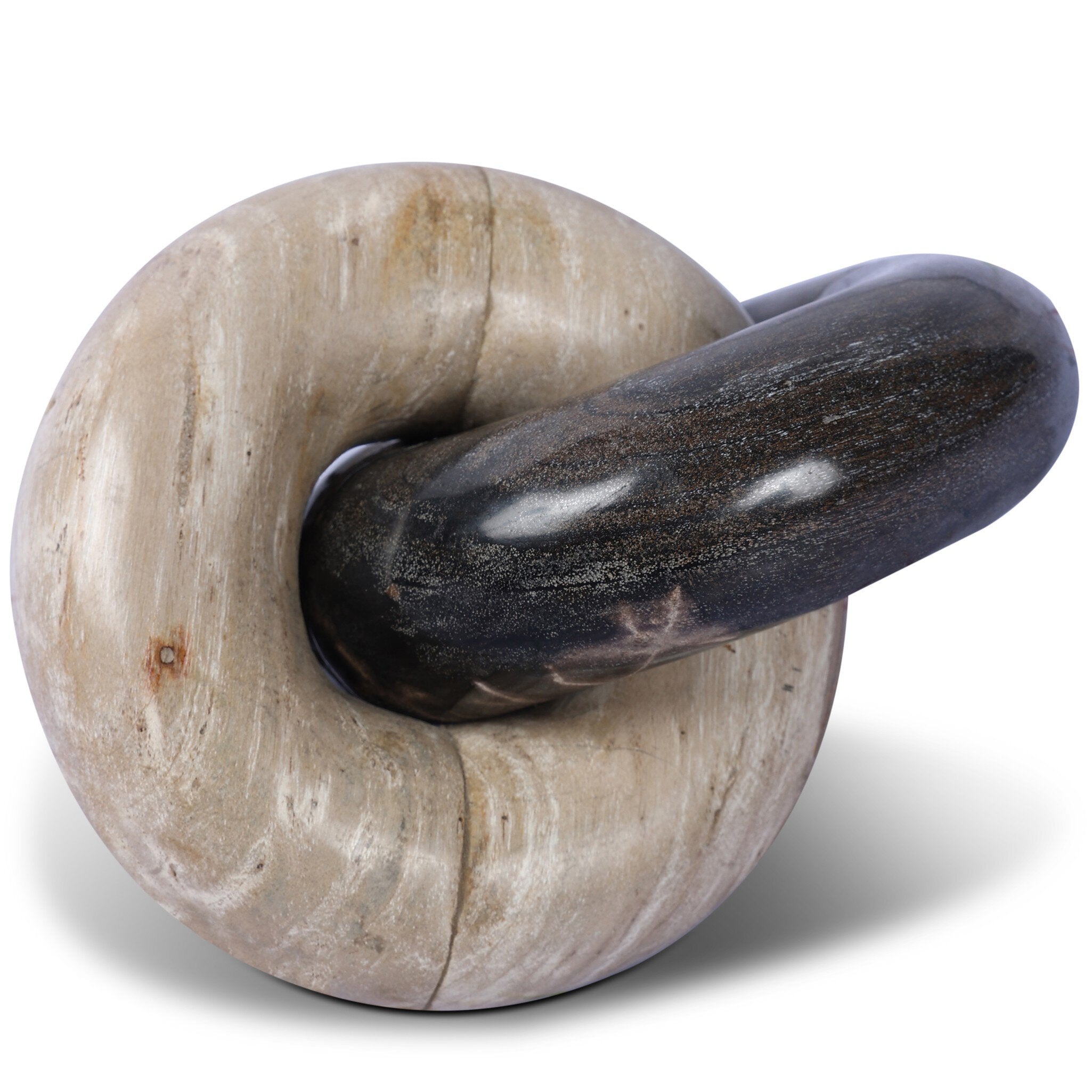 Petrified Wood Knot