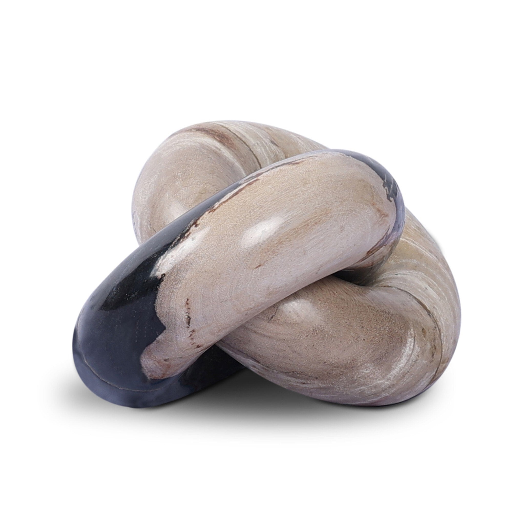 Petrified Wood Knot-Decorative Objects-StyleMeGHD