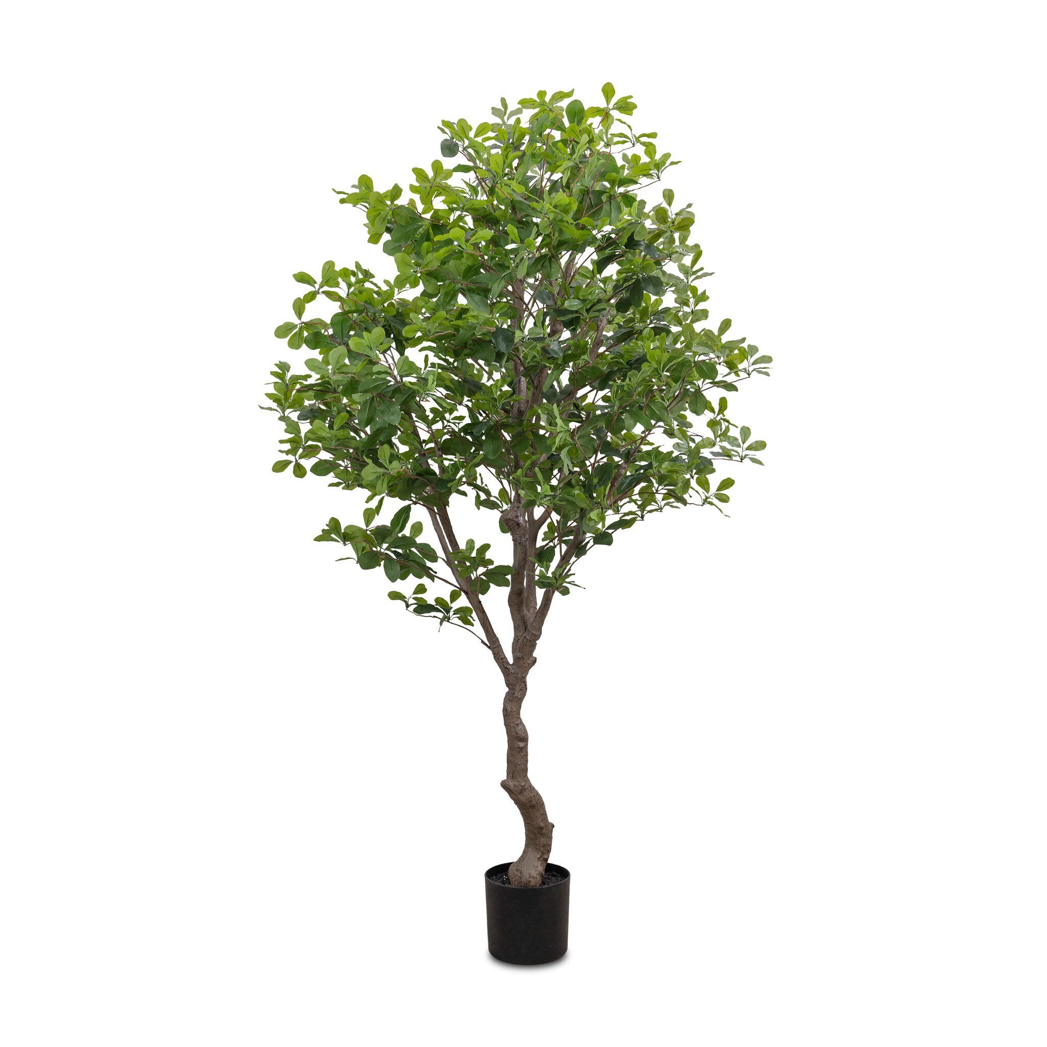 Faux Aralia Tree-StyleMeGHD