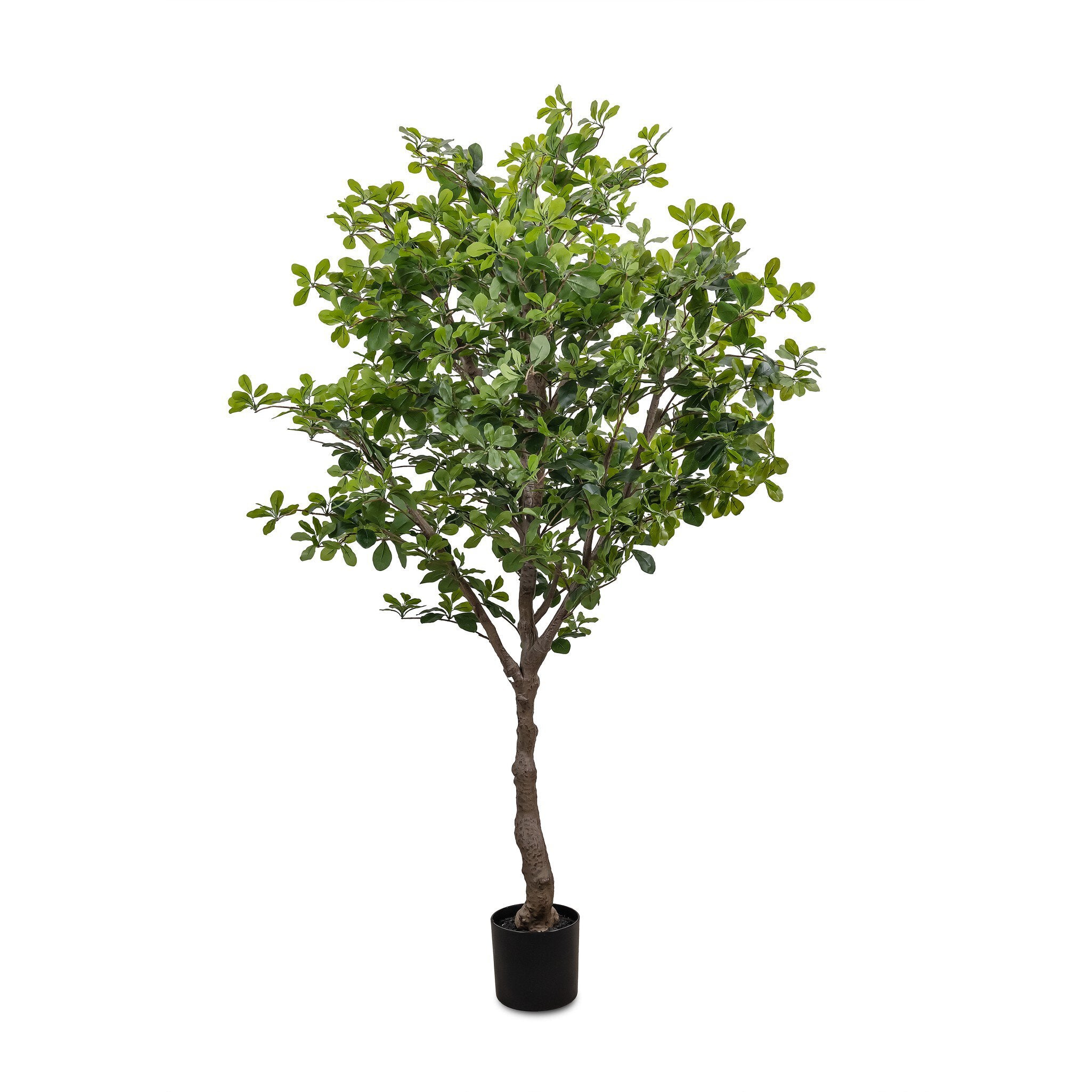 Faux Aralia Tree-StyleMeGHD