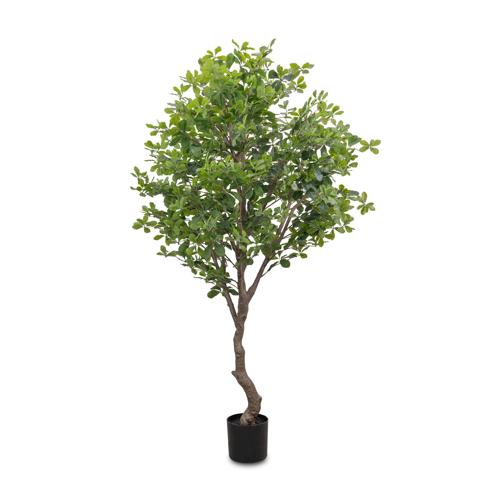 Faux Aralia Tree-StyleMeGHD