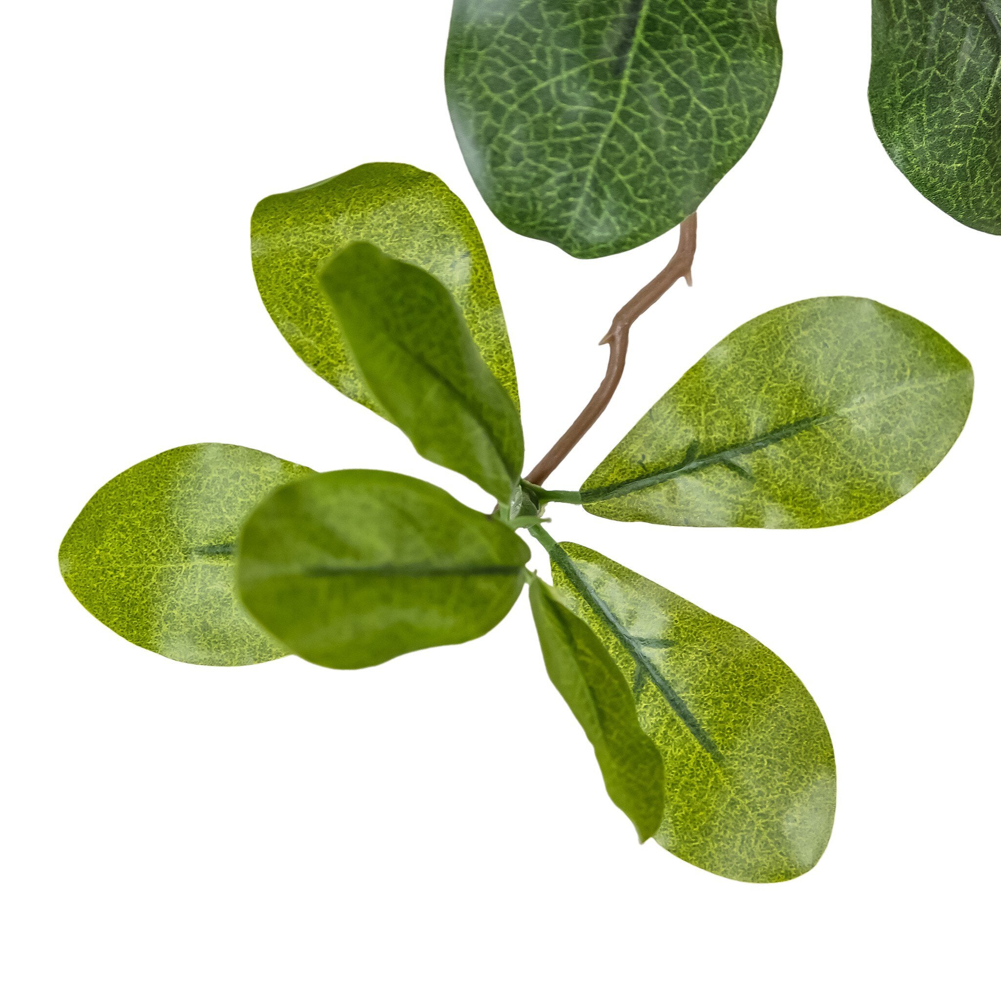 Faux Aralia Tree
