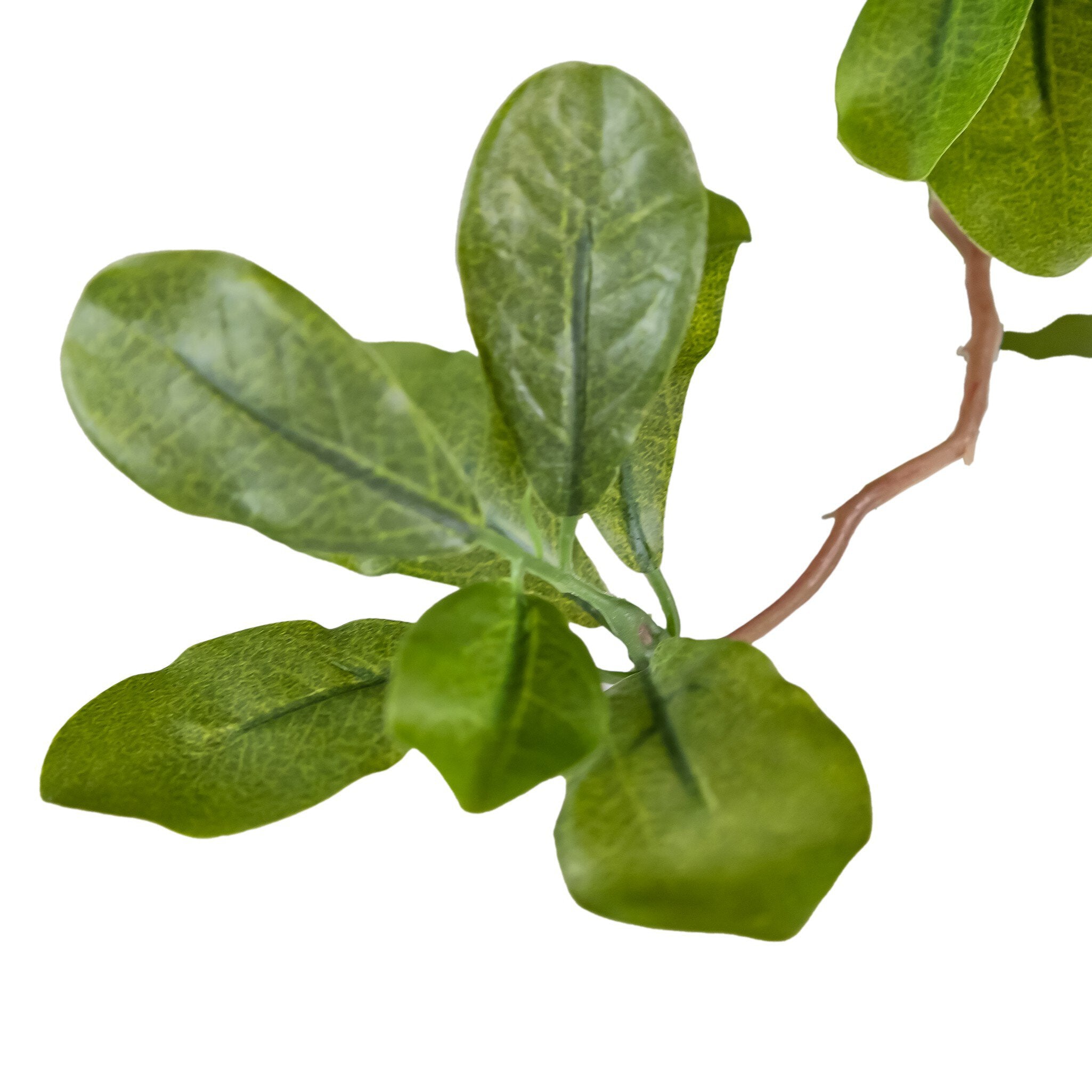 Faux Aralia Tree