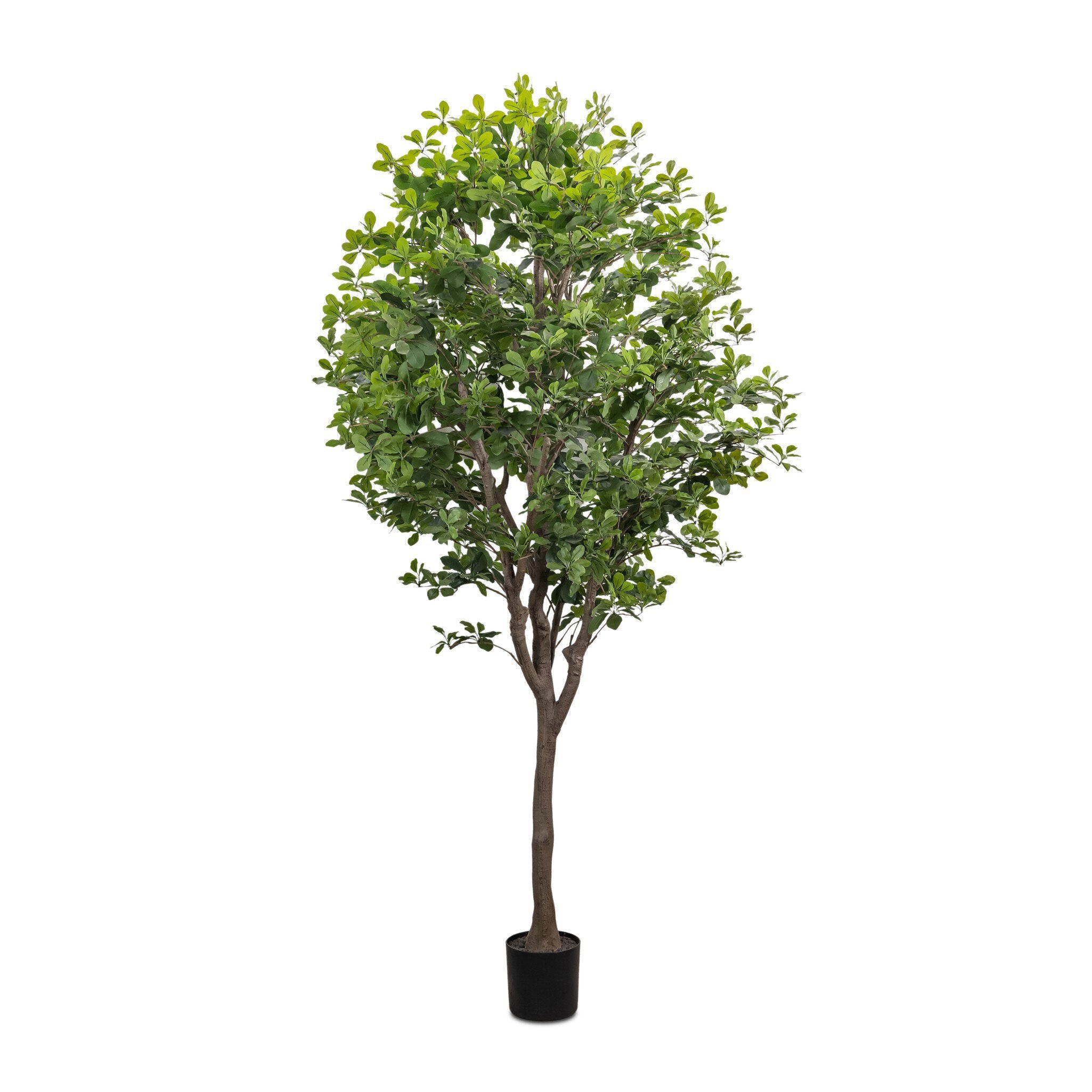 Faux Aralia Tree - StyleMeGHD - Faux Plants