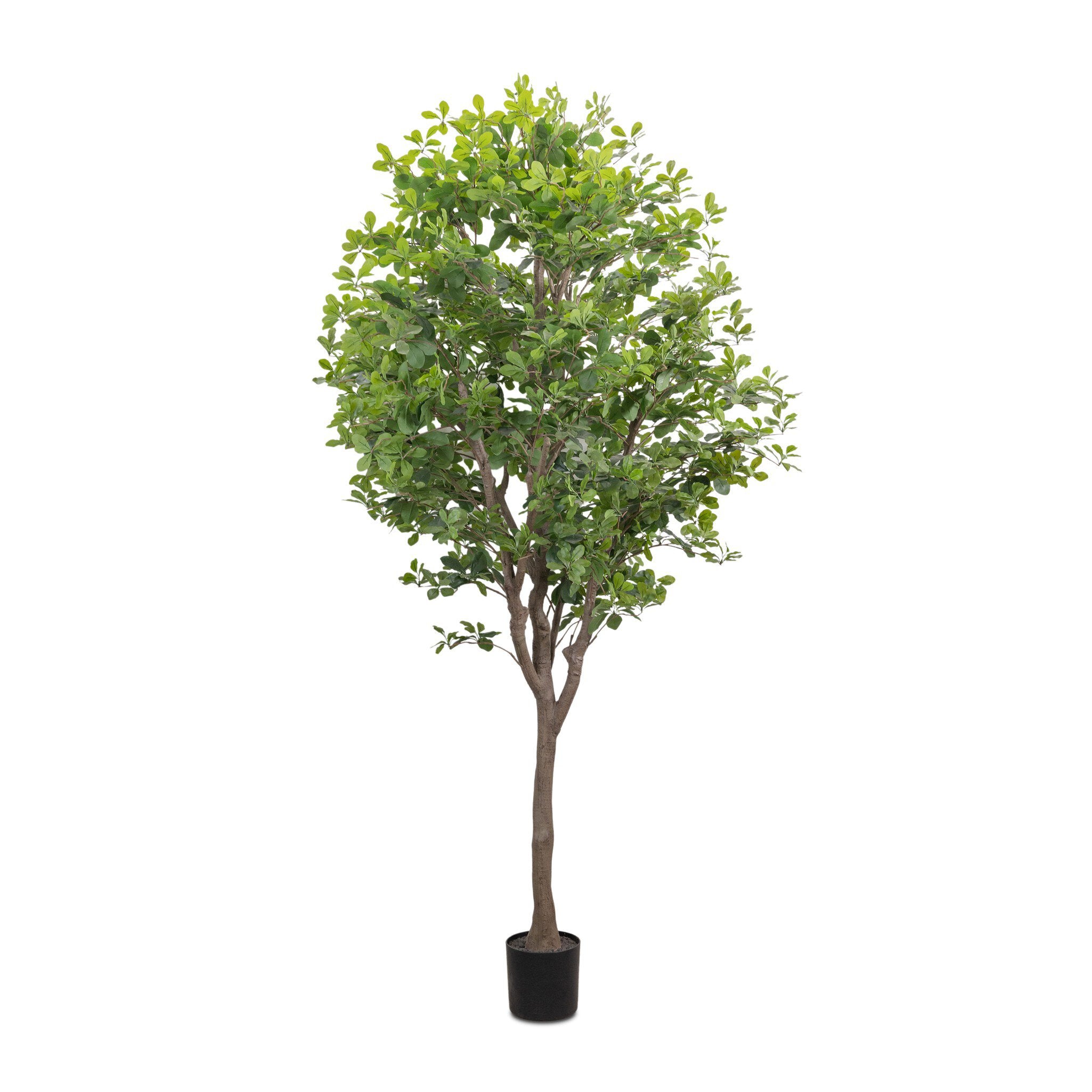 Faux Aralia Tree - StyleMeGHD - Faux Plants