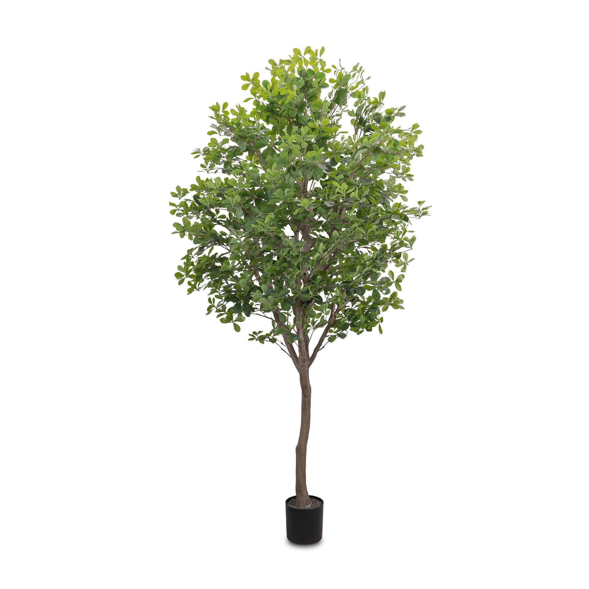 Faux Aralia Tree - StyleMeGHD - Faux Plants