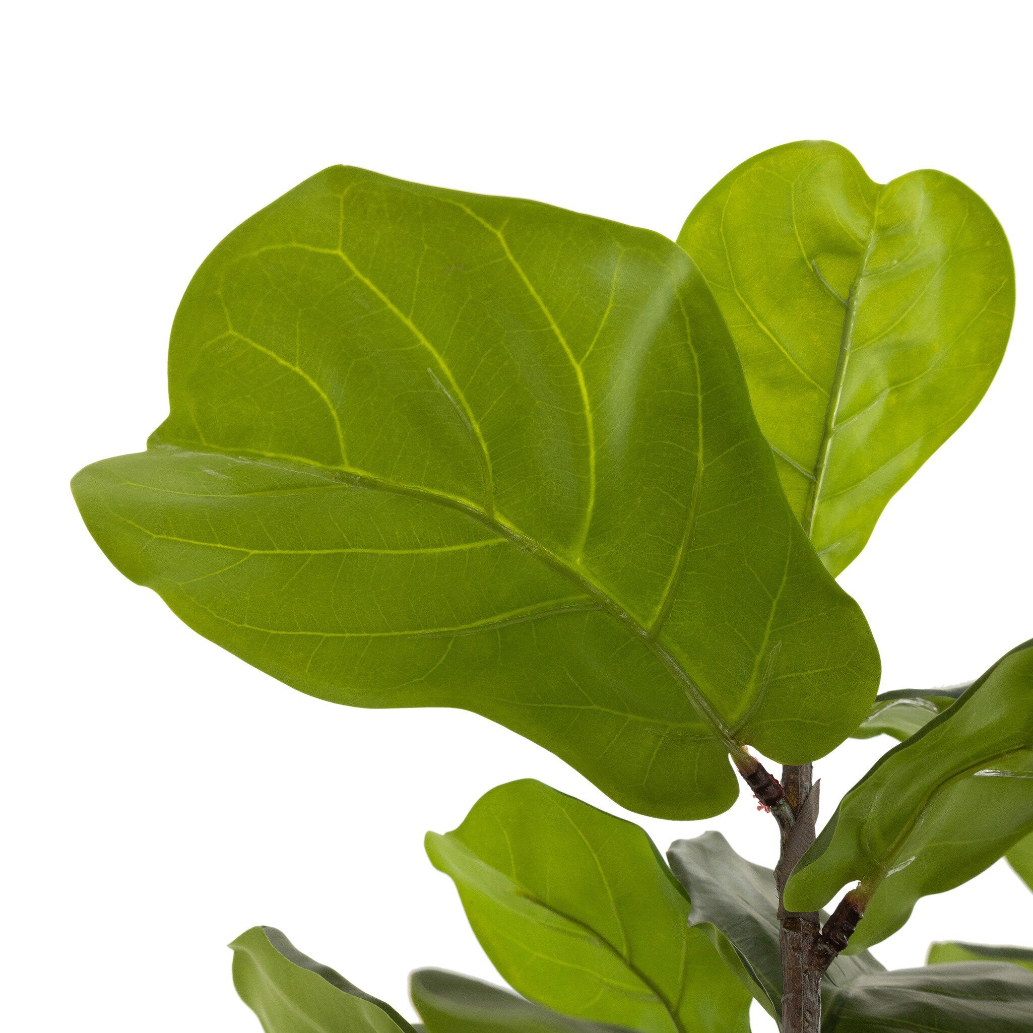Faux Fiddle Leaf Tree - StyleMeGHD - Faux Plants