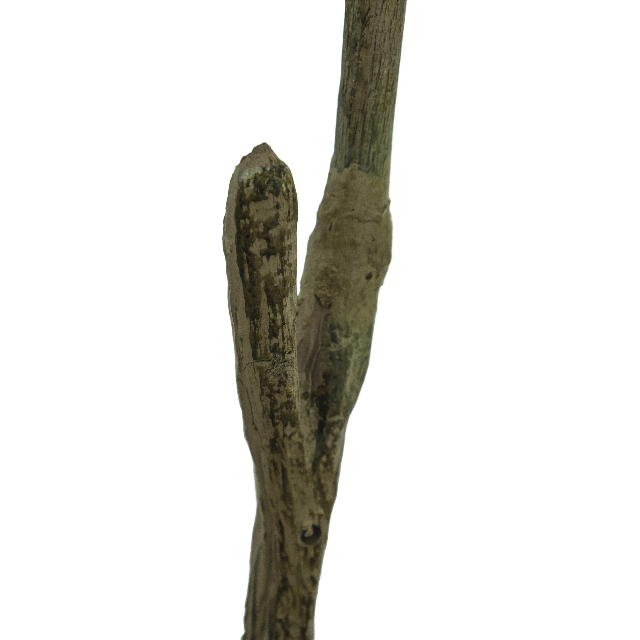 Faux Pieris Tree - StyleMeGHD - Faux Plants