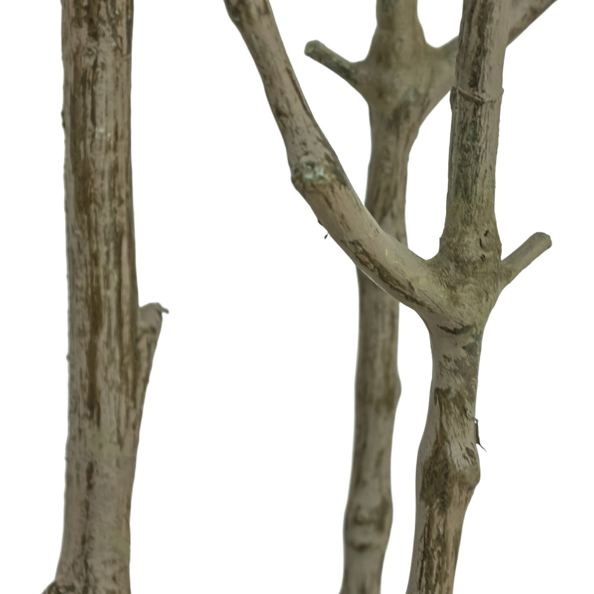 Faux Pieris Tree - StyleMeGHD - Faux Plants