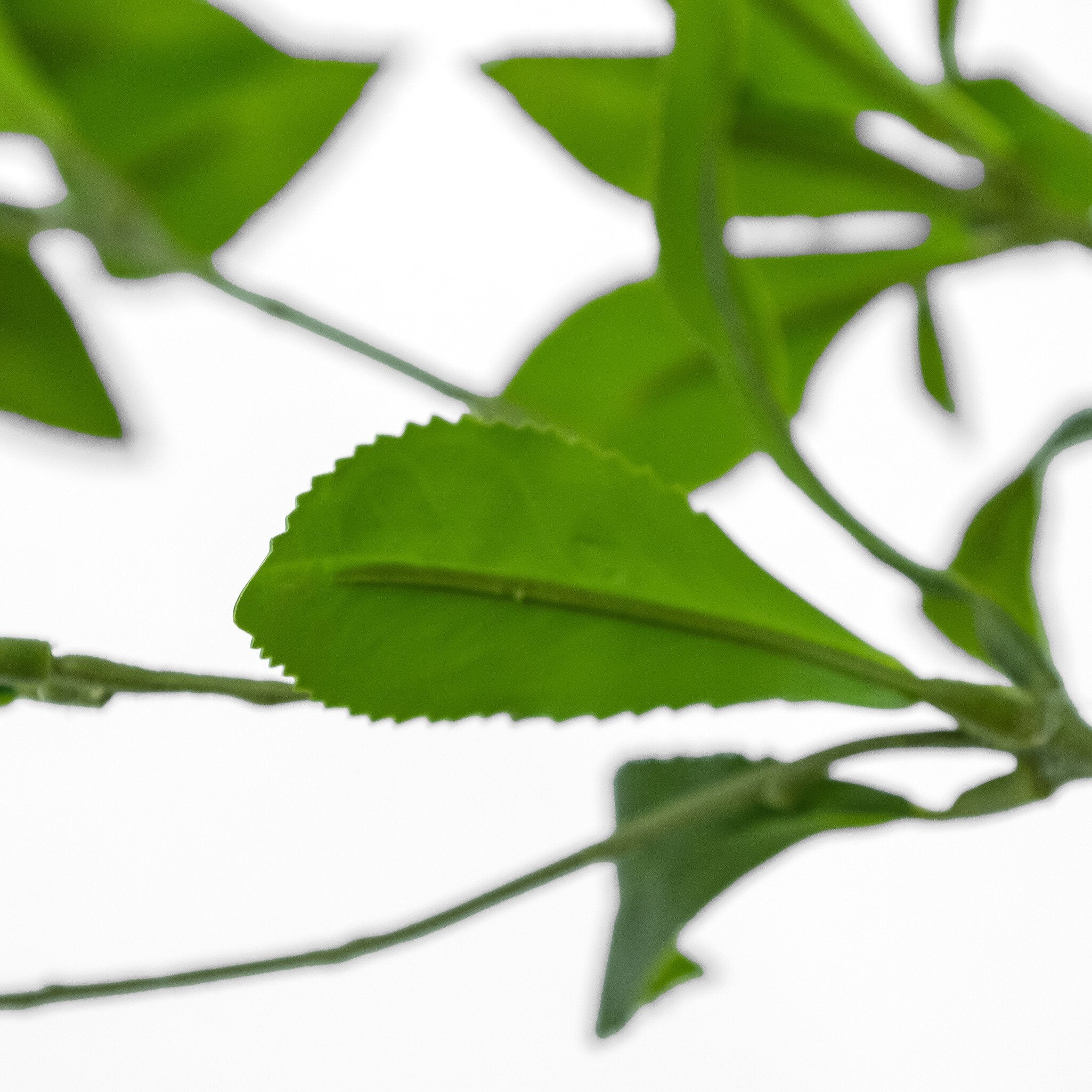 Faux Pieris Tree - StyleMeGHD - Faux Plants