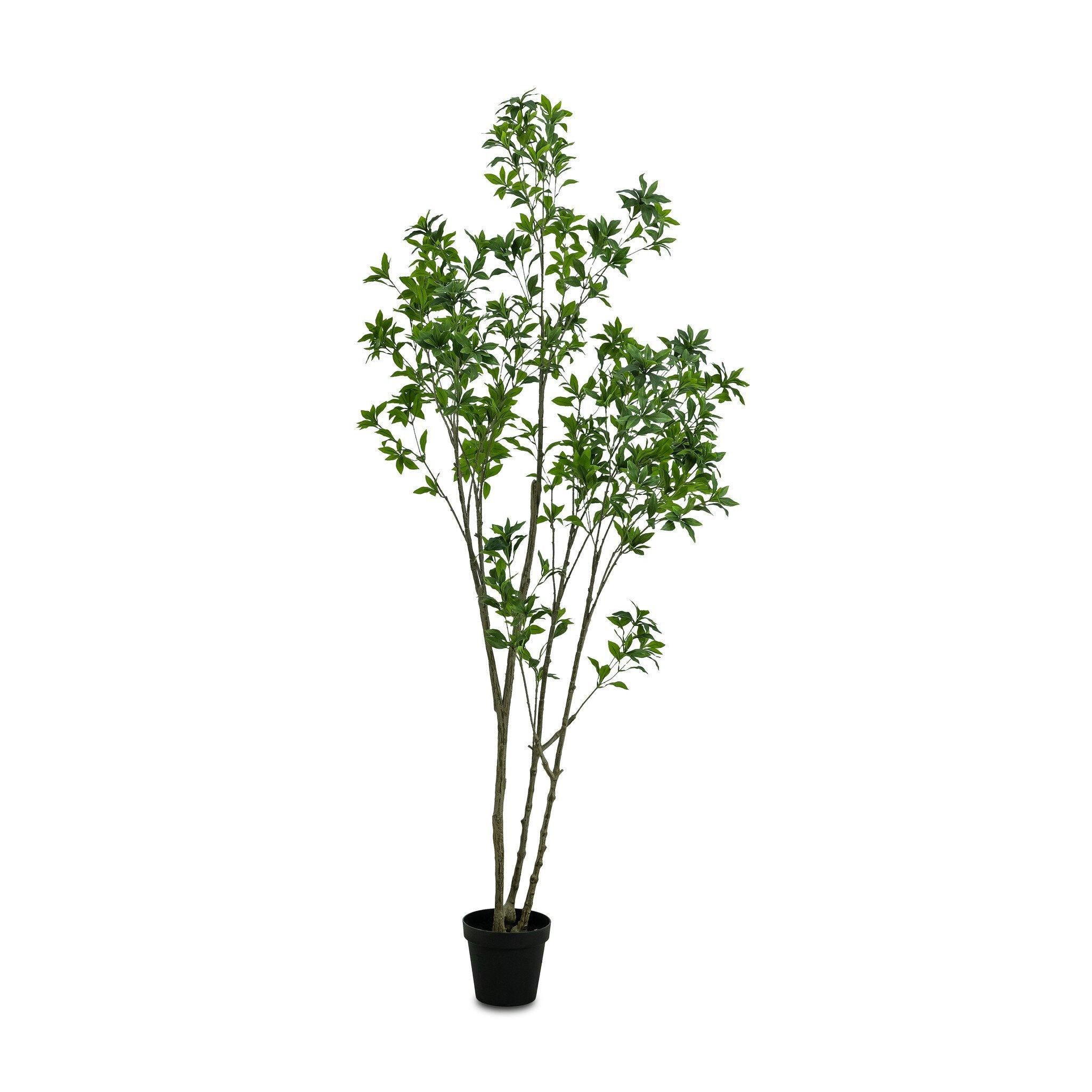 Faux Pieris Tree