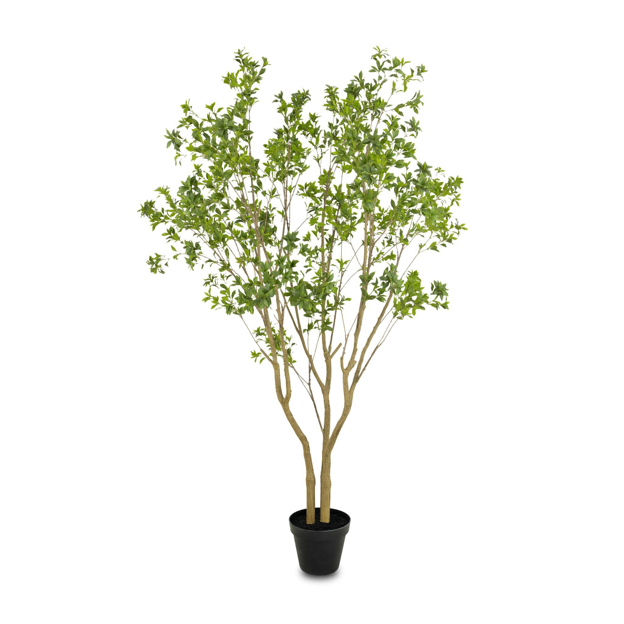 Faux Pieris Tree-StyleMeGHD