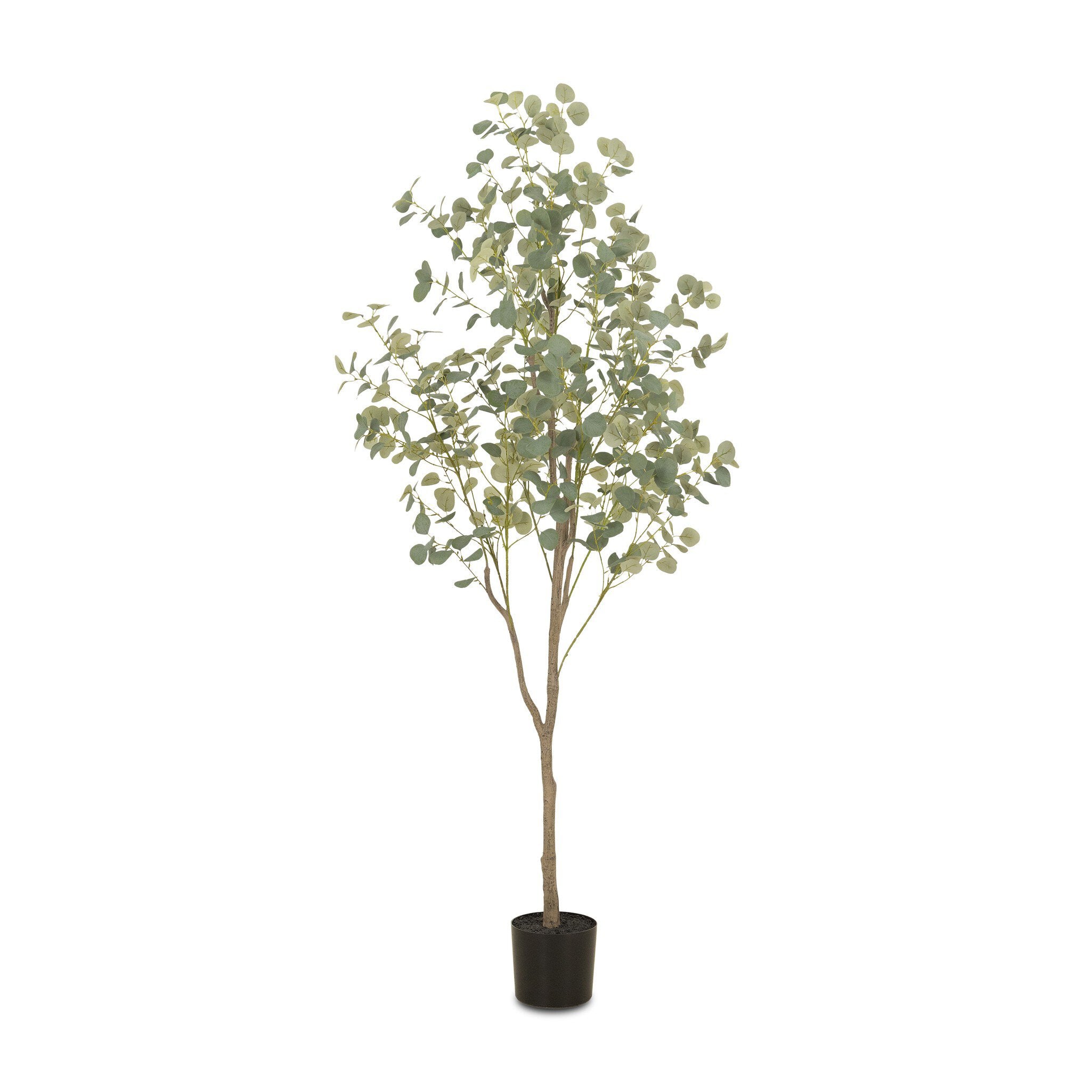 Faux Eucalyptus Tree - StyleMeGHD - Faux Plants