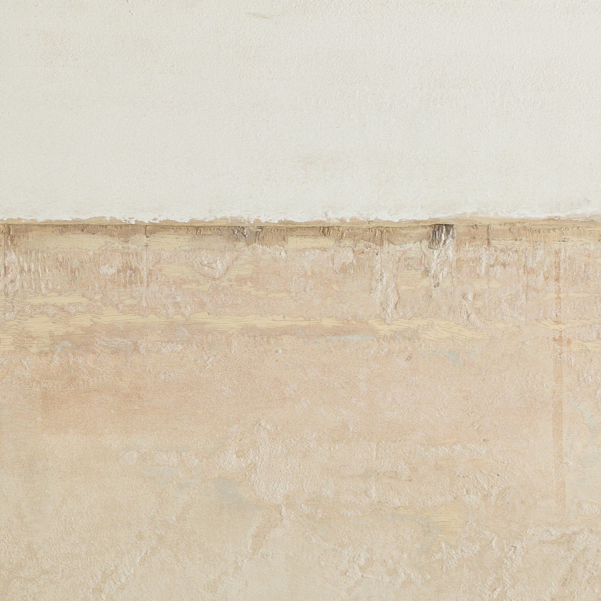 Coastal Desert