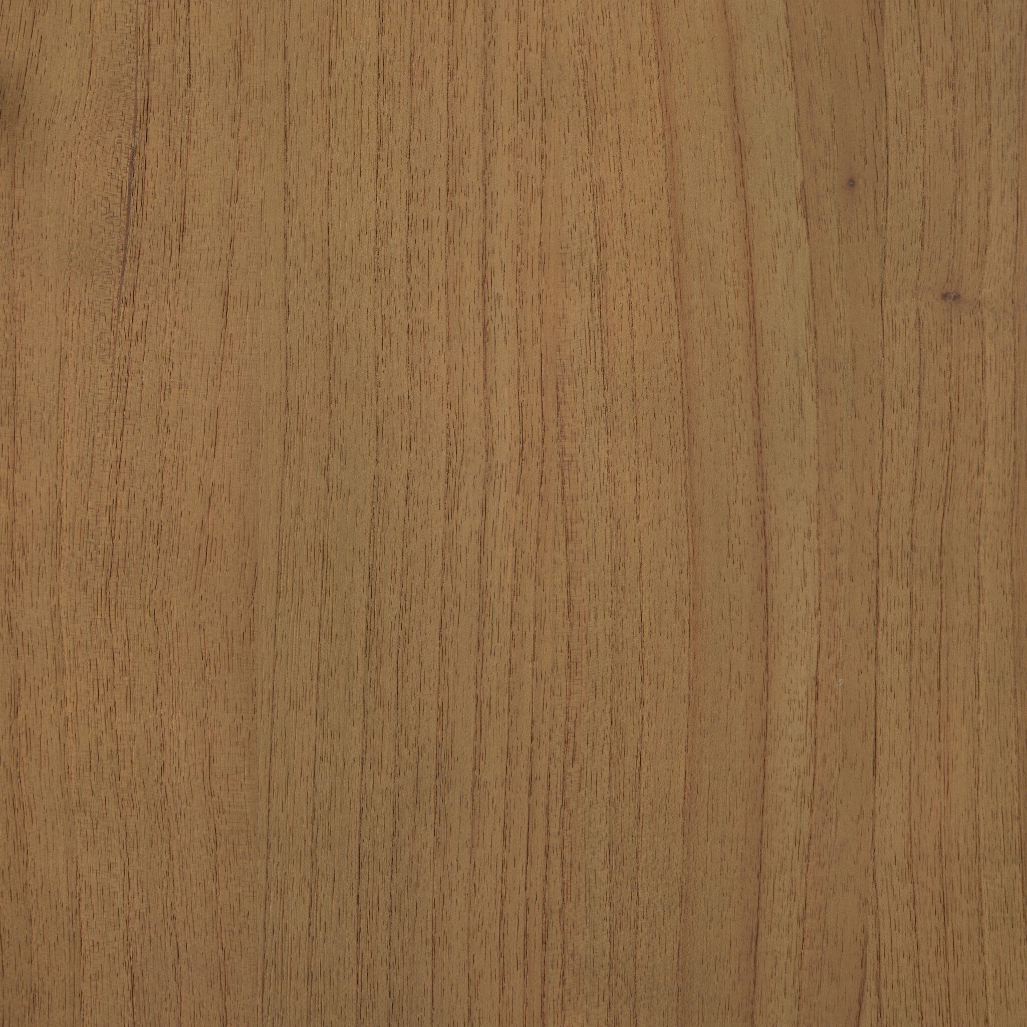 Caprice Media Console - StyleMeGHD - Consoles + Sideboards