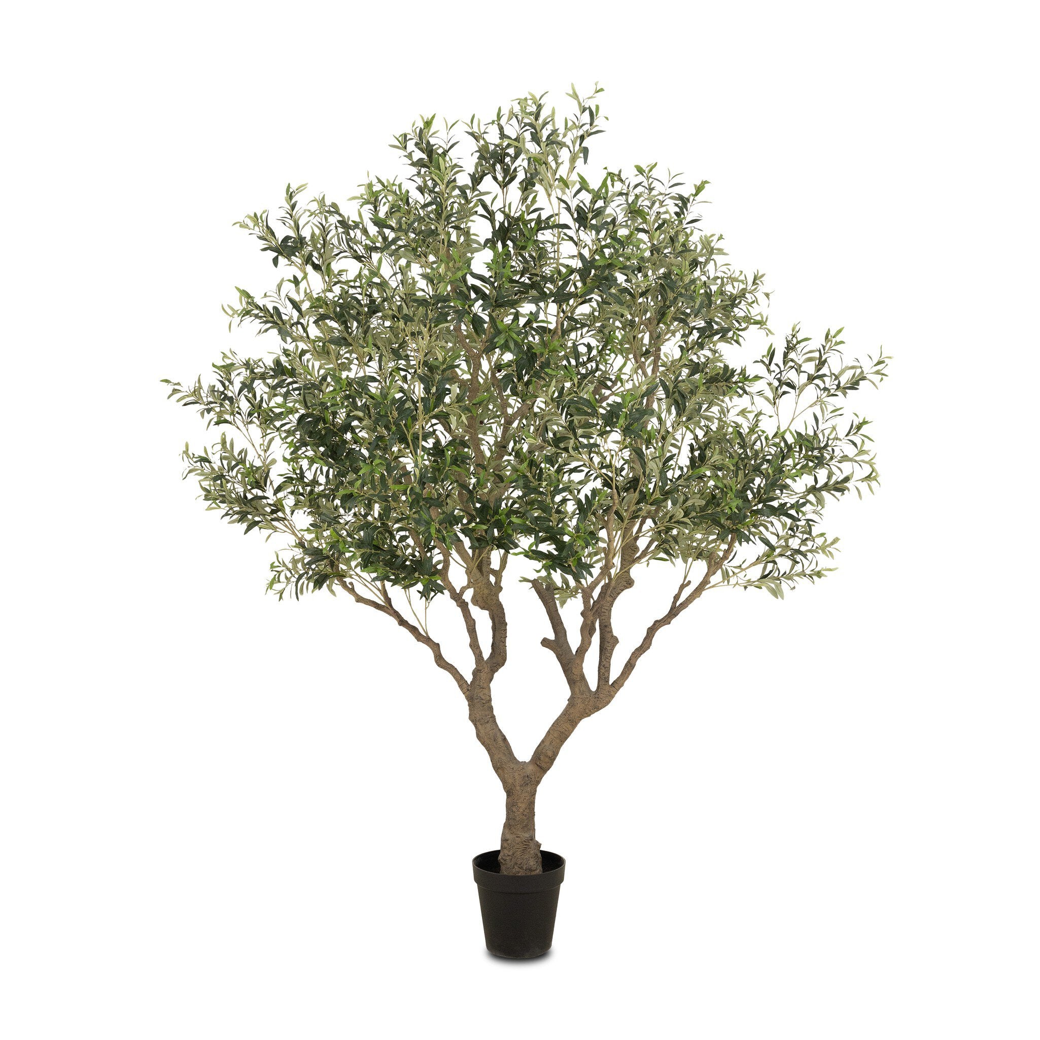 Faux Olive Tree Wide - StyleMeGHD - Faux Plants
