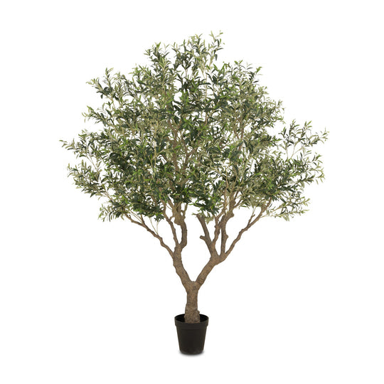 Faux Olive Tree Wide