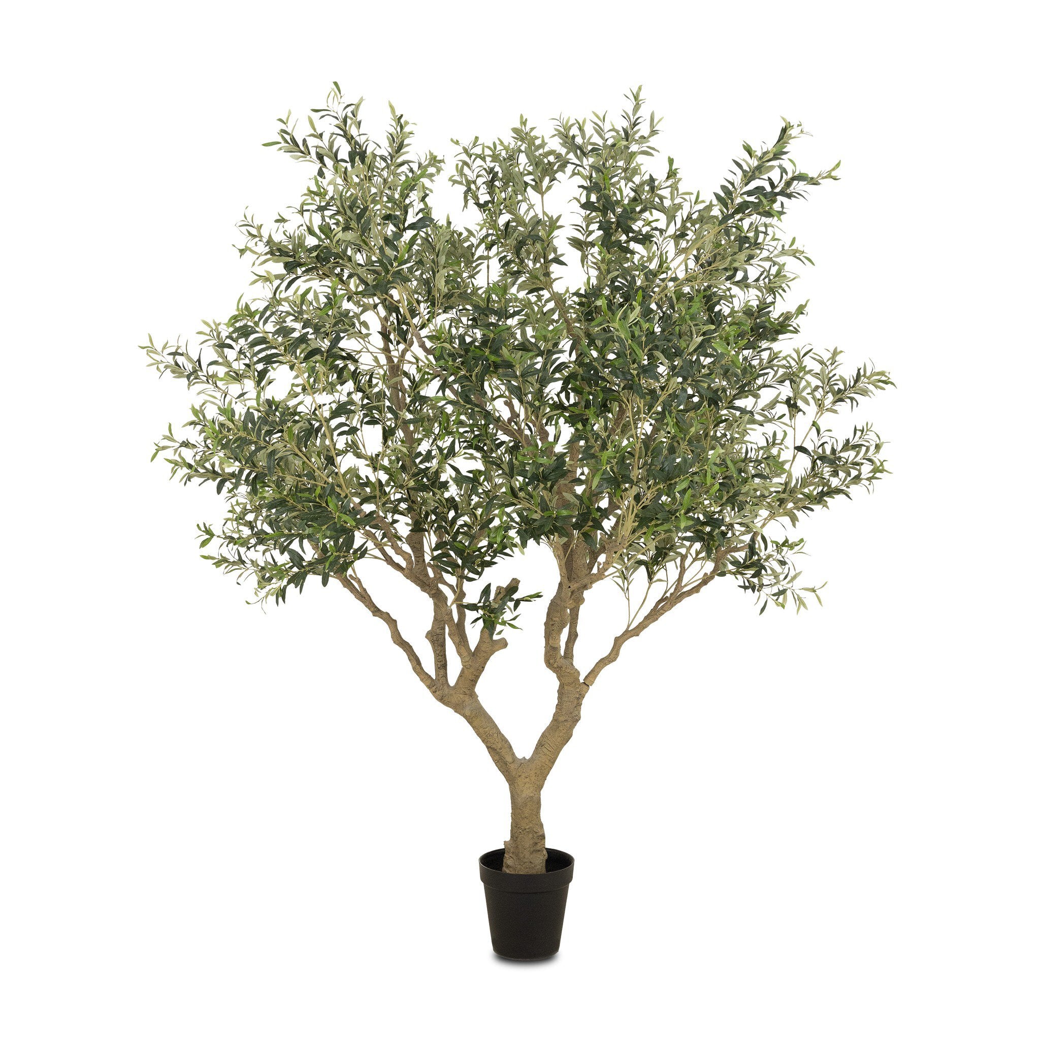 Faux Olive Tree Wide - StyleMeGHD - Faux Plants