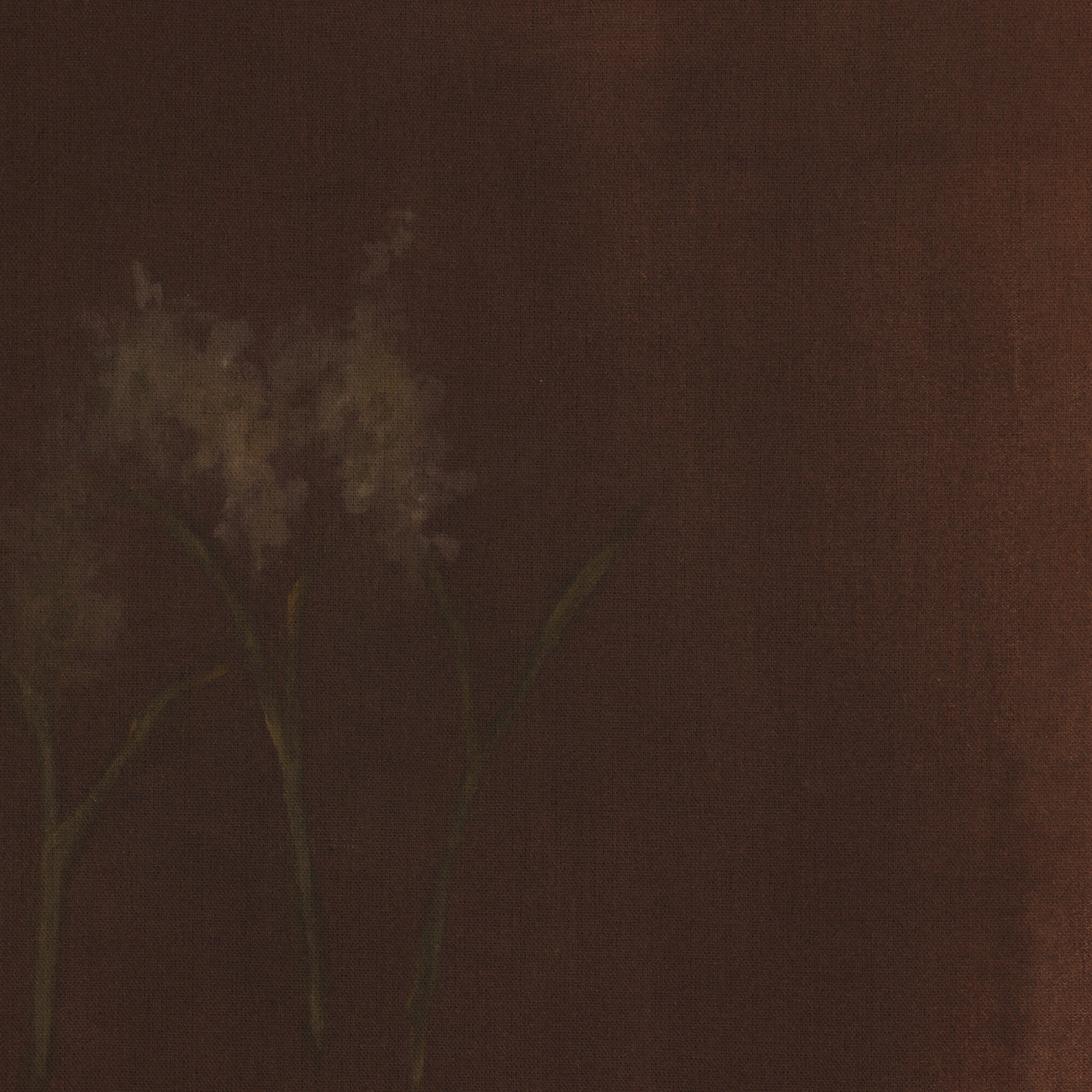 Bloom III-Artwork-StyleMeGHD