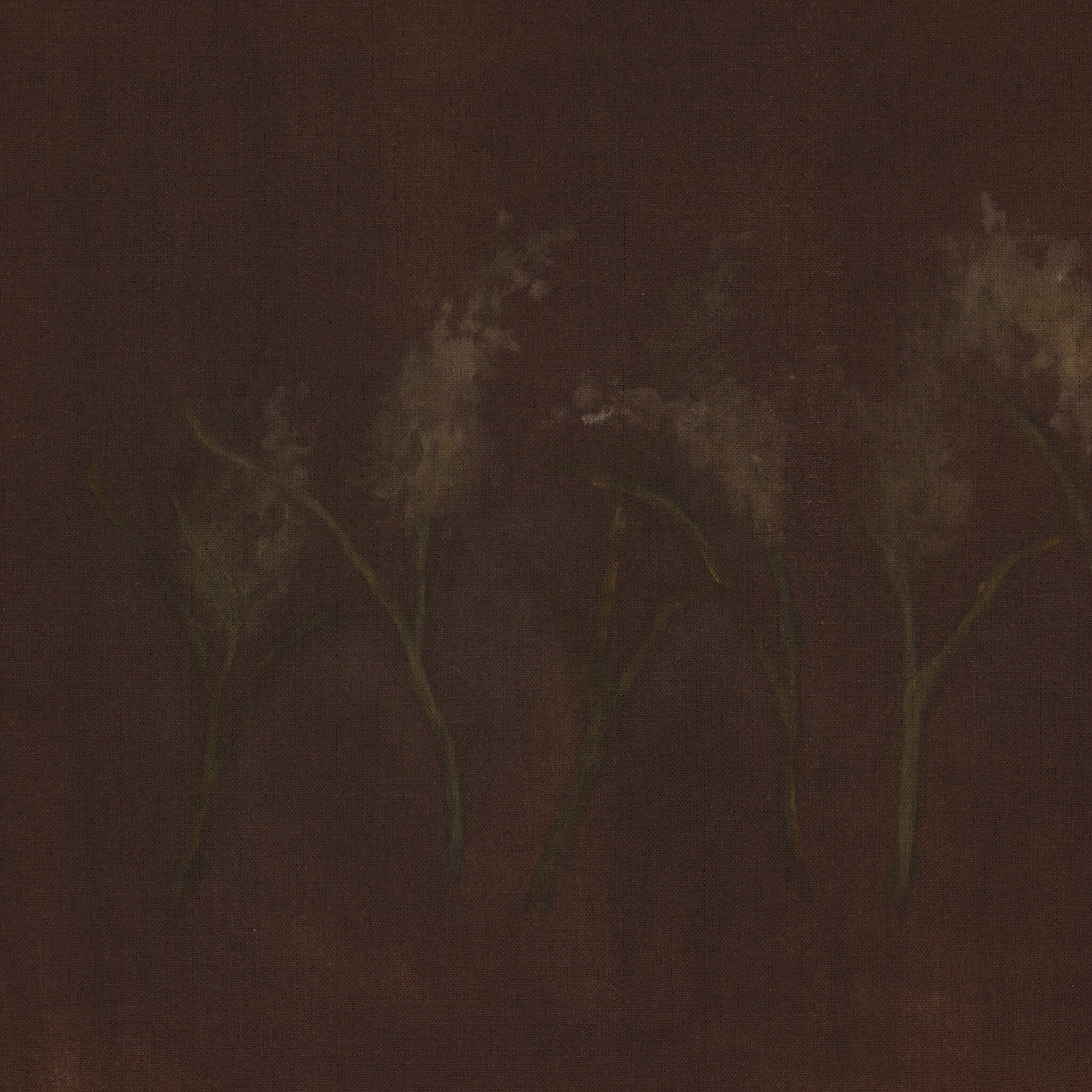 Bloom III-Artwork-StyleMeGHD