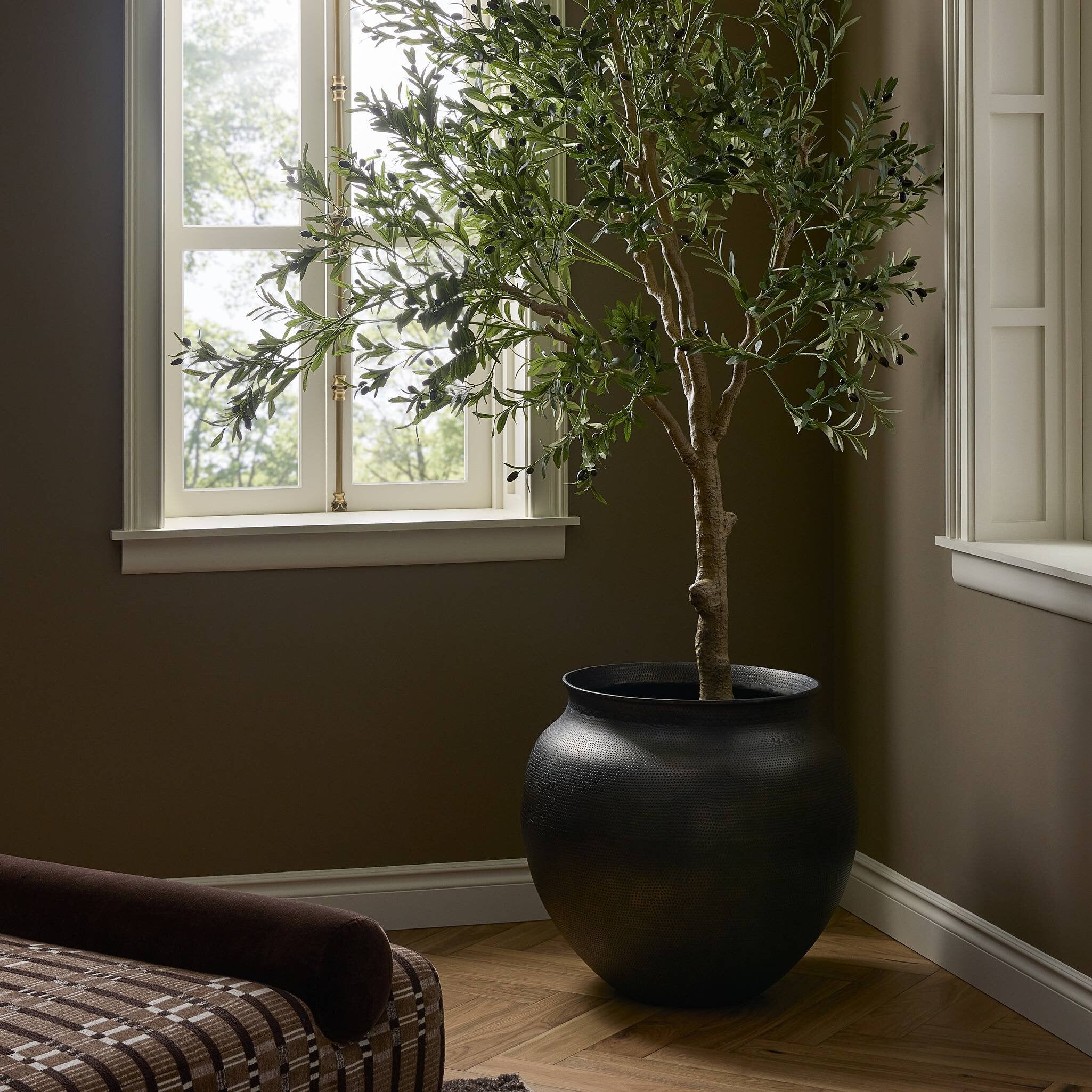 Kyla Planter