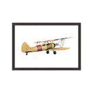 Bi Plane