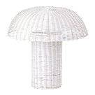 Iron Lamp