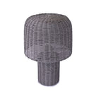 Iron Lamp