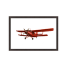 Bi Plane
