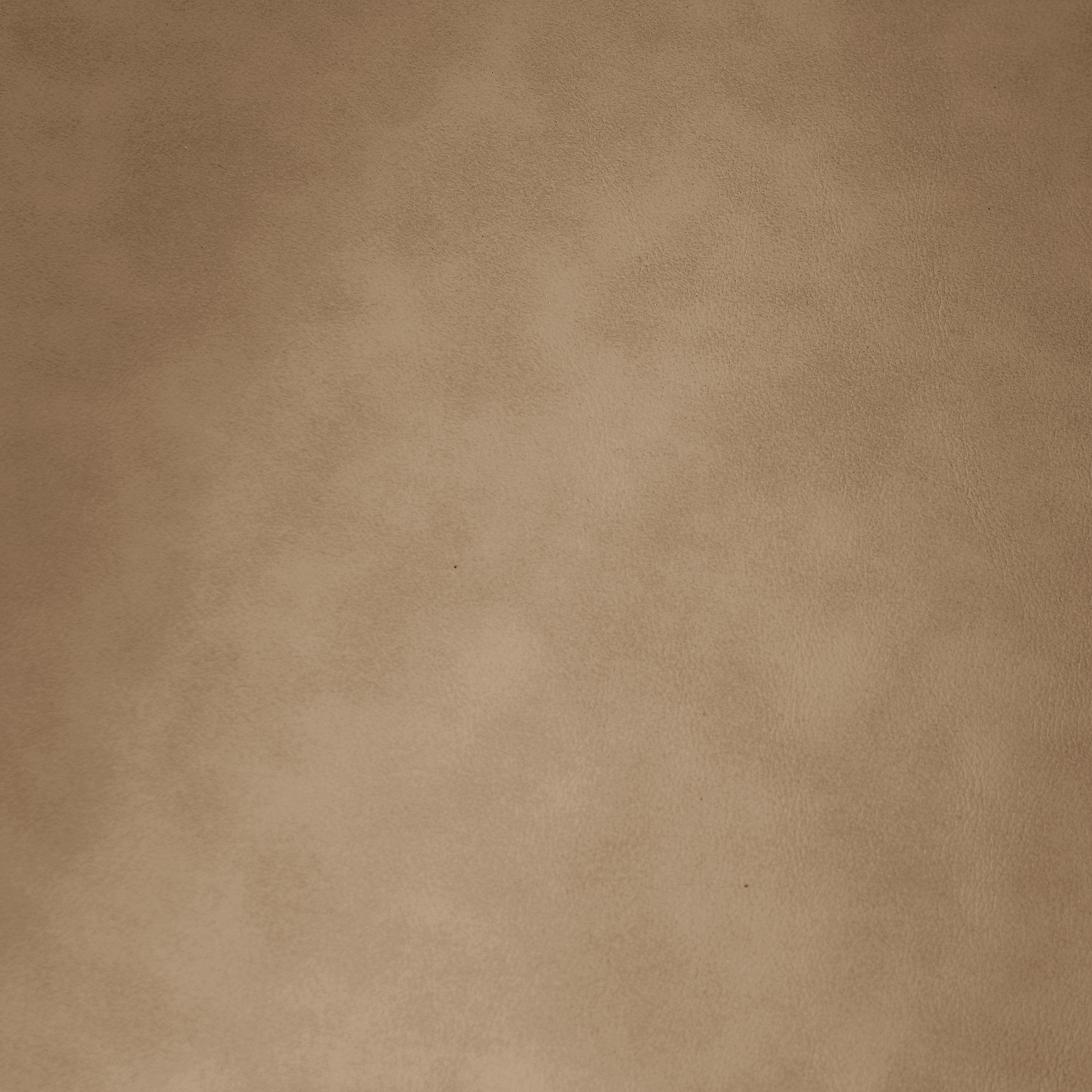 Willa Vegan Leather Bench