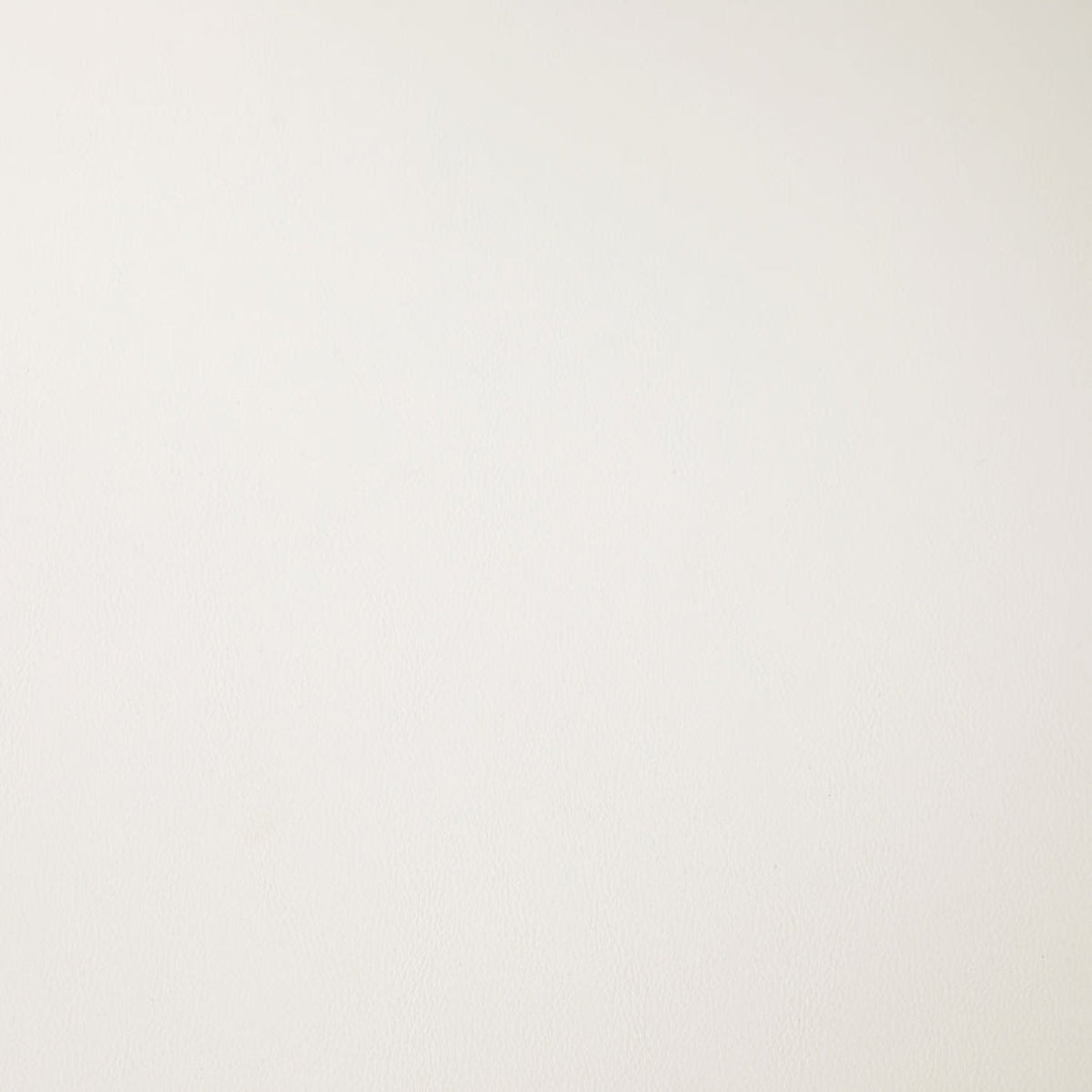 Blaine Dining Chair, Set of 2-Dining Chairs-StyleMeGHD