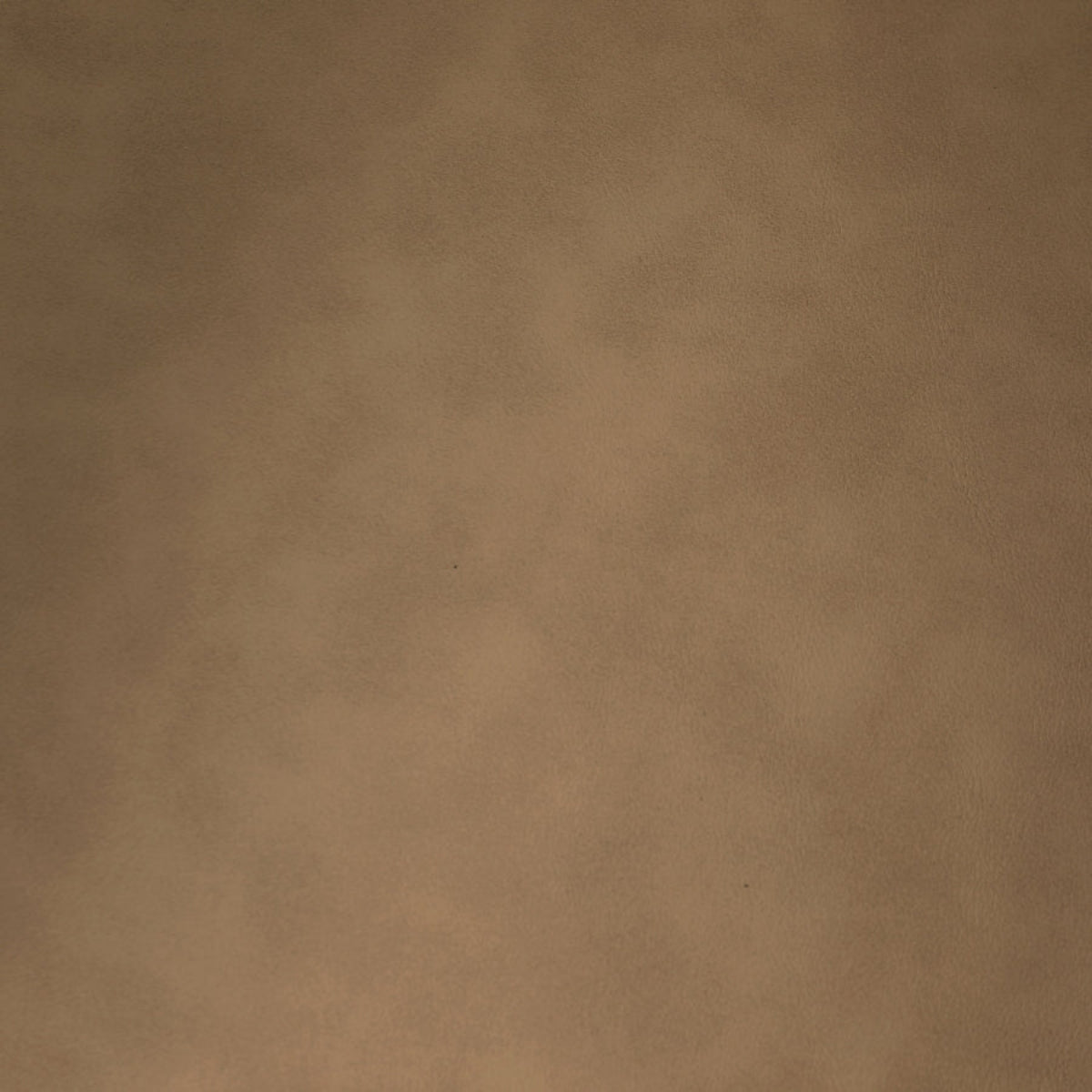 Blaine Dining Chair, Set of 2-Dining Chairs-StyleMeGHD