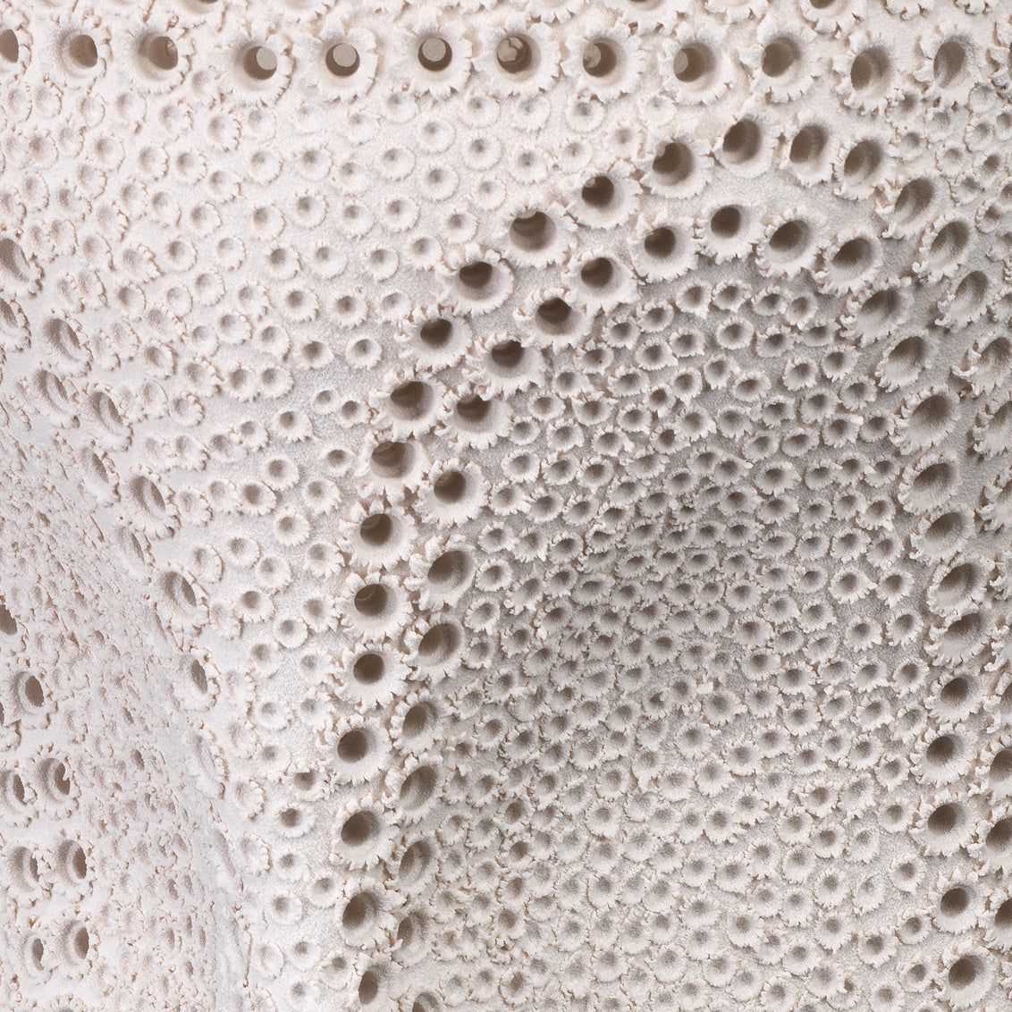 Elana Vase