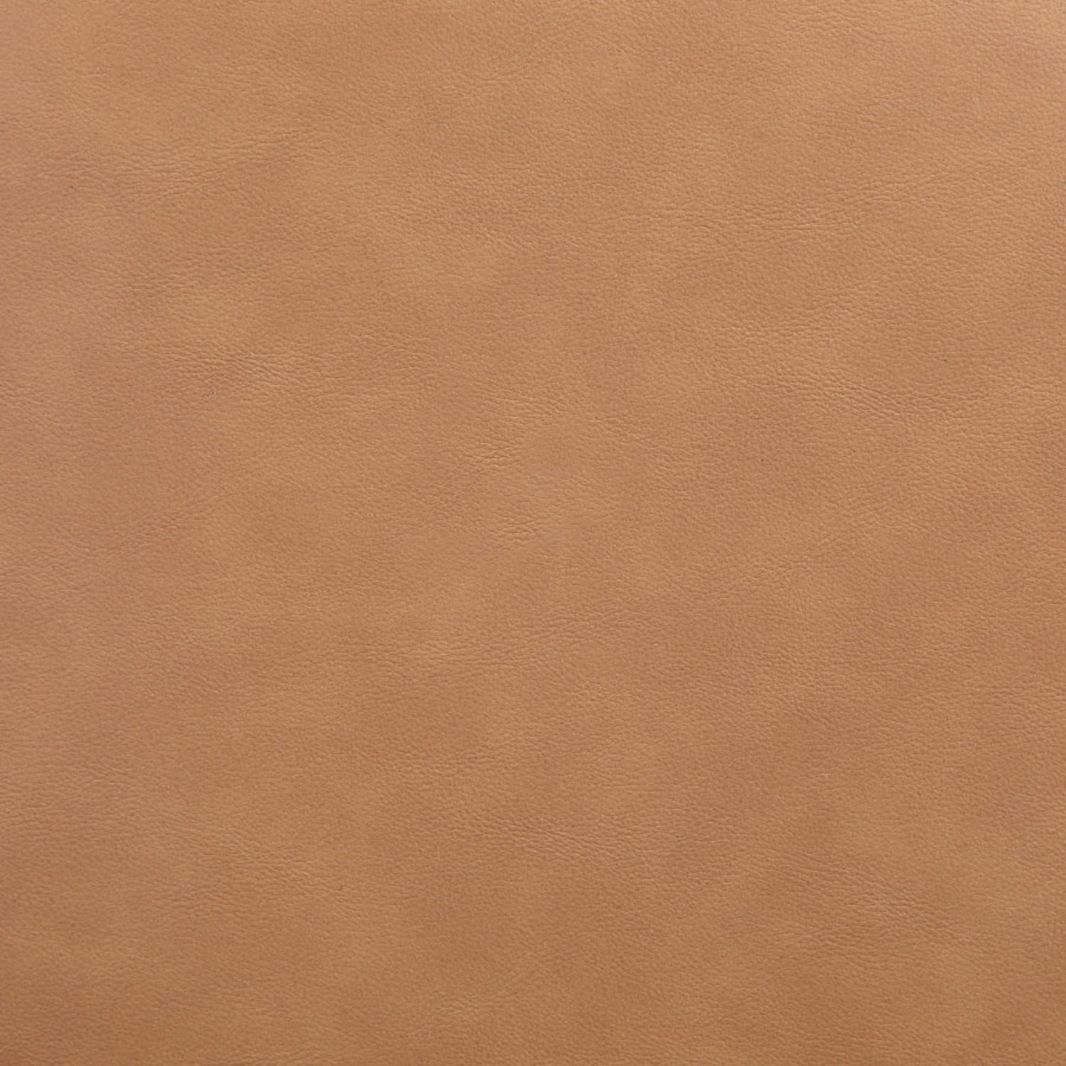 Woodmont Vegan Leather Bench