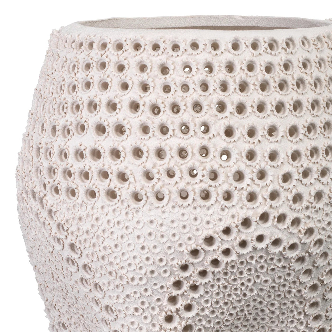 Elana Vase