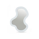 Oblivia Iron Frame Mirror