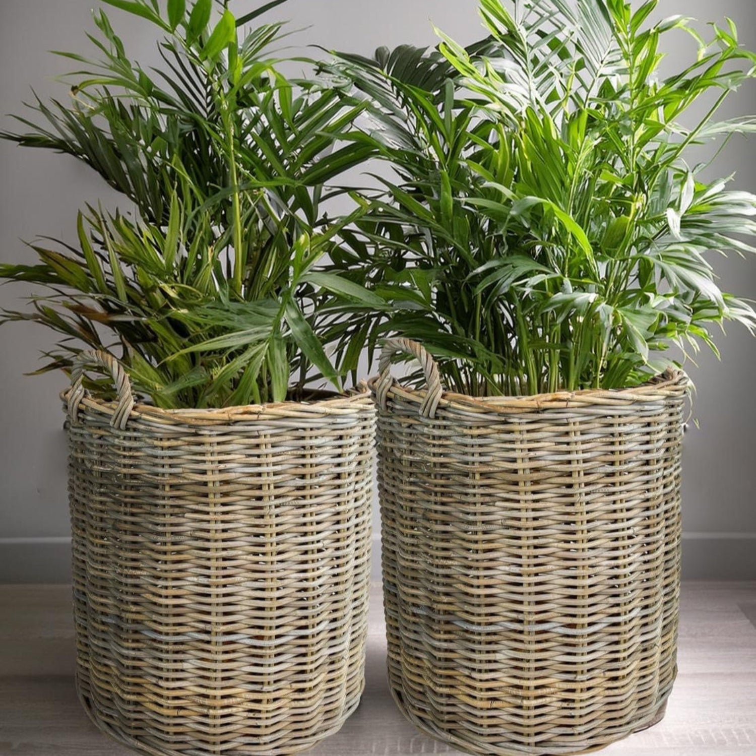 Riley Round Rattan Baskets, Set of 2