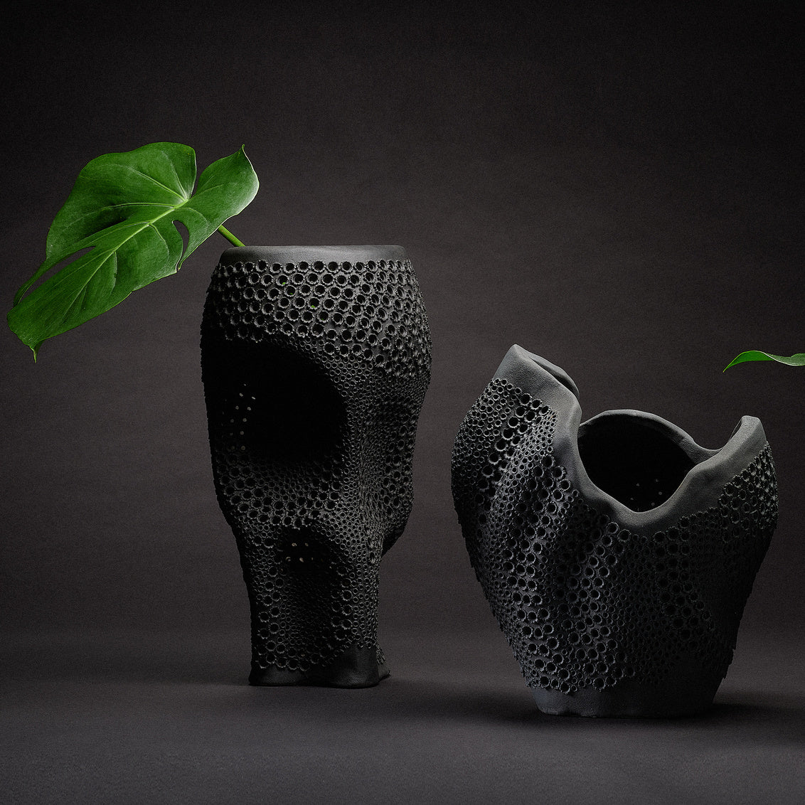 Elana Vase